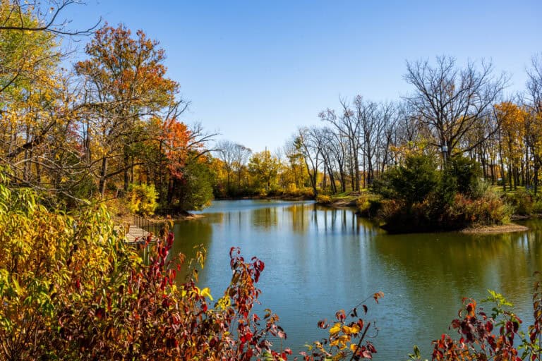 Tranquil river surrounded by colorful autumn trees in Boone County, Indiana.