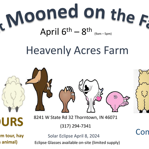 Get Mooned on the Farm