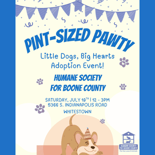 Pint-Sized Pawty Adoption Event at Humane Society for Boone County