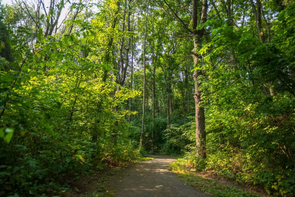 Path in Pleasant Acres Park.